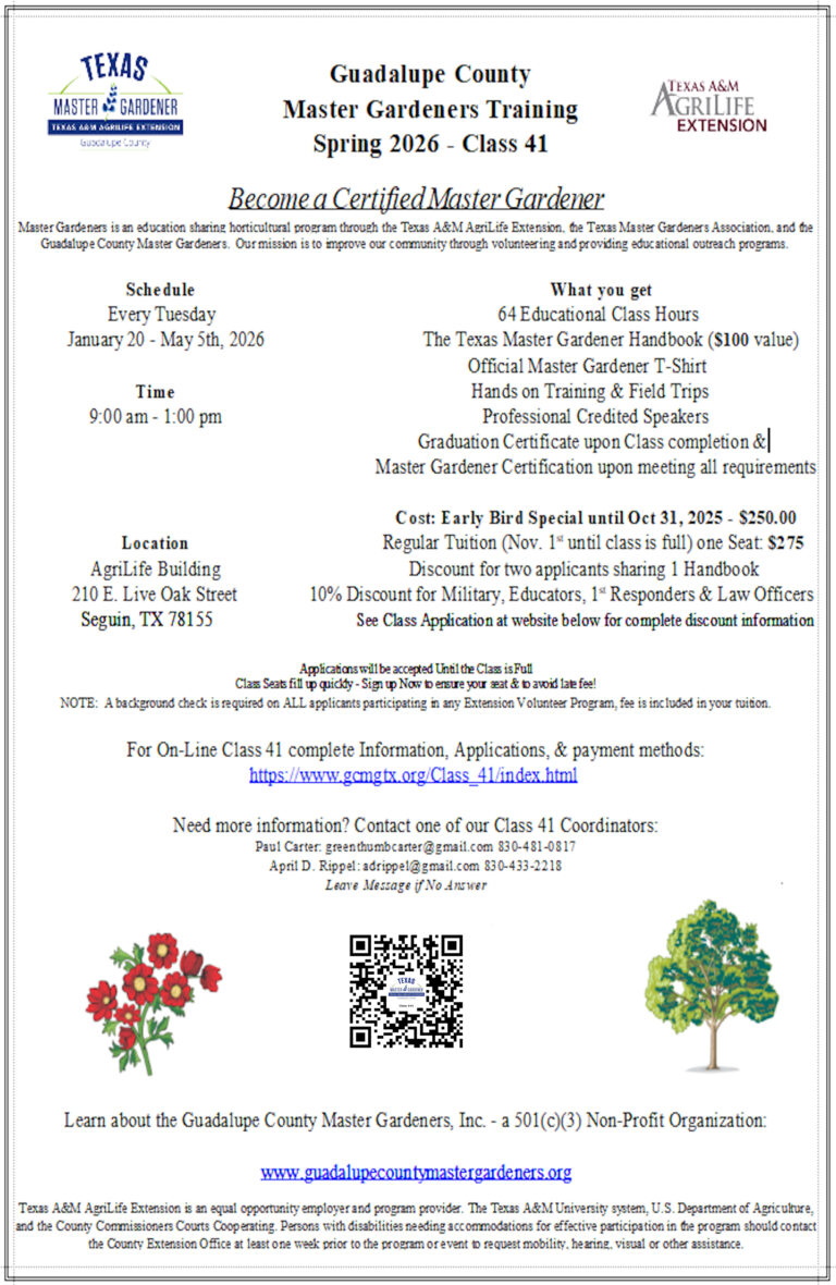 Class_41_Flyer_July2025