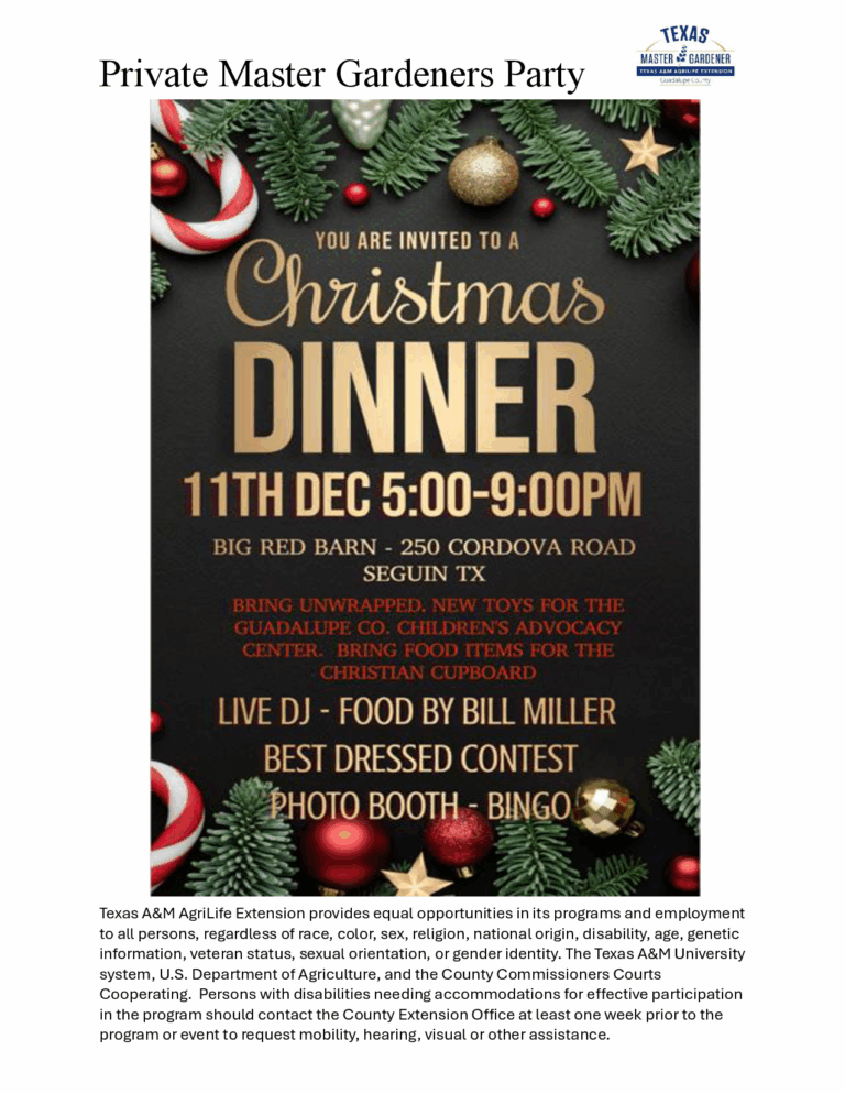 Winter Social – 2025