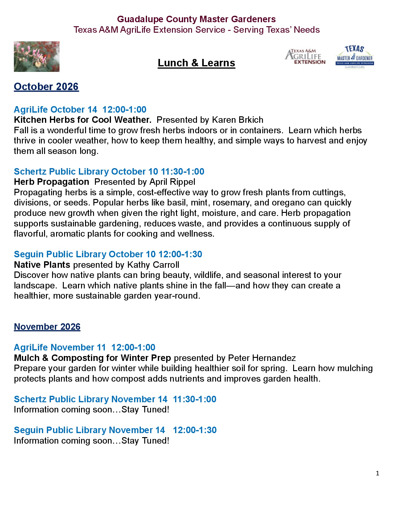 Upcoming GCMG Lunch & Learns October – November 2026