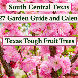 2027 New Calendar Cover page 1666×1200